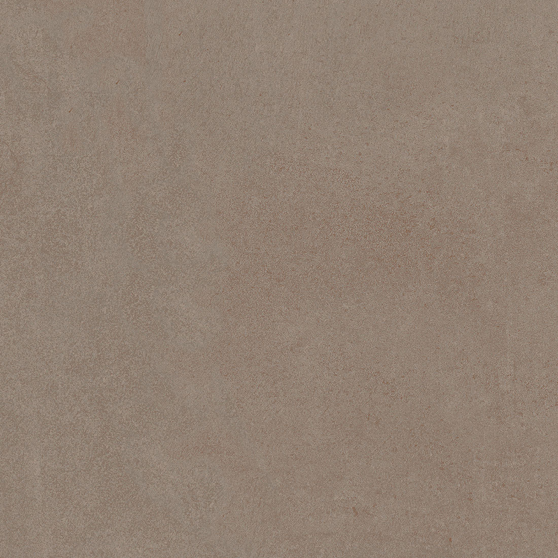 Chamois GC 08