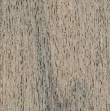 trex couleur biscayne