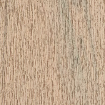 trex couleur carmel
